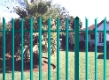 Enlarge picture